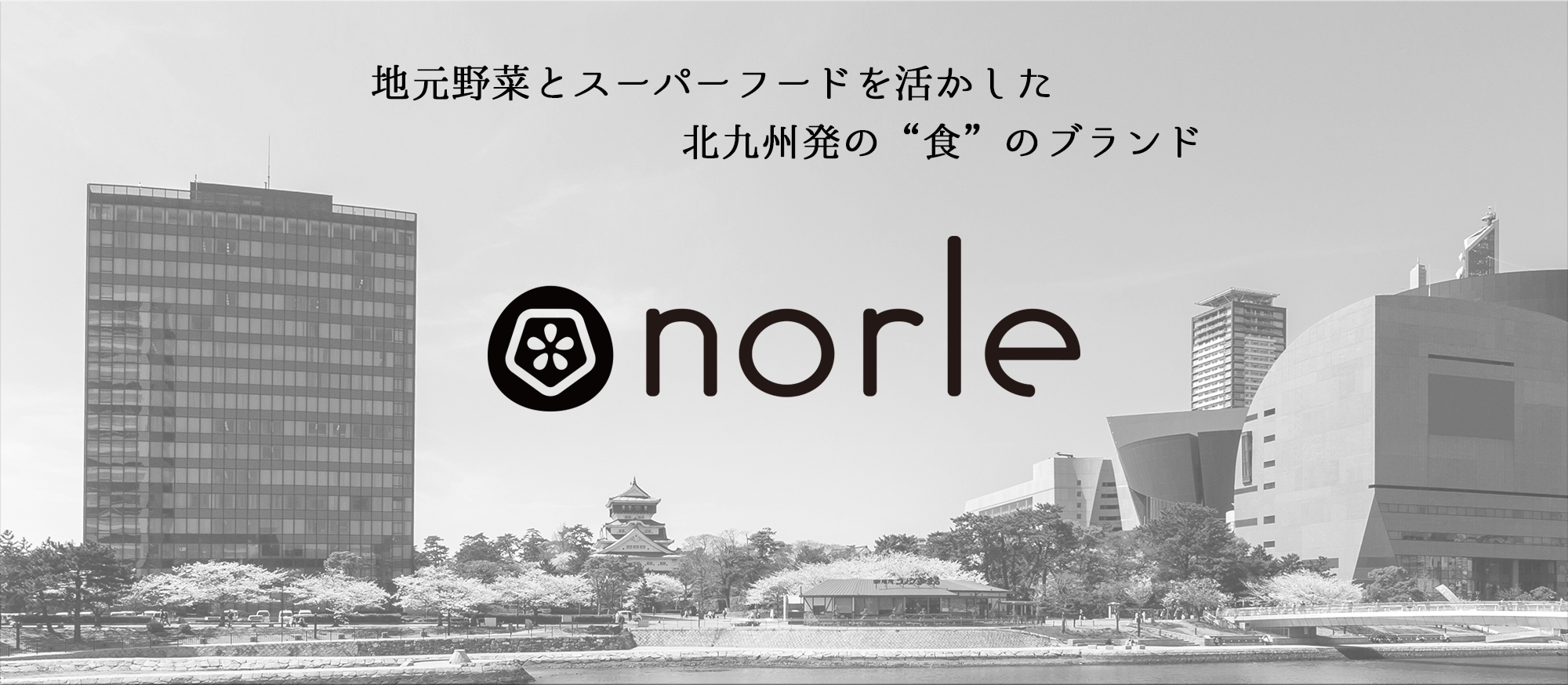 norle web